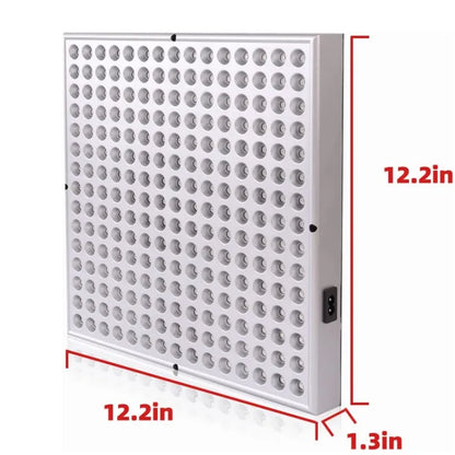 Lumiofy RedLight Pro 300 – Targeted Therapy Panel